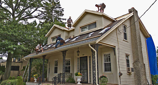 Best Roof Gutter Cleaning  in Roseland, NJ